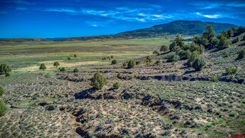 432 Golden Spruce Court Pagosa Springs CO 81147