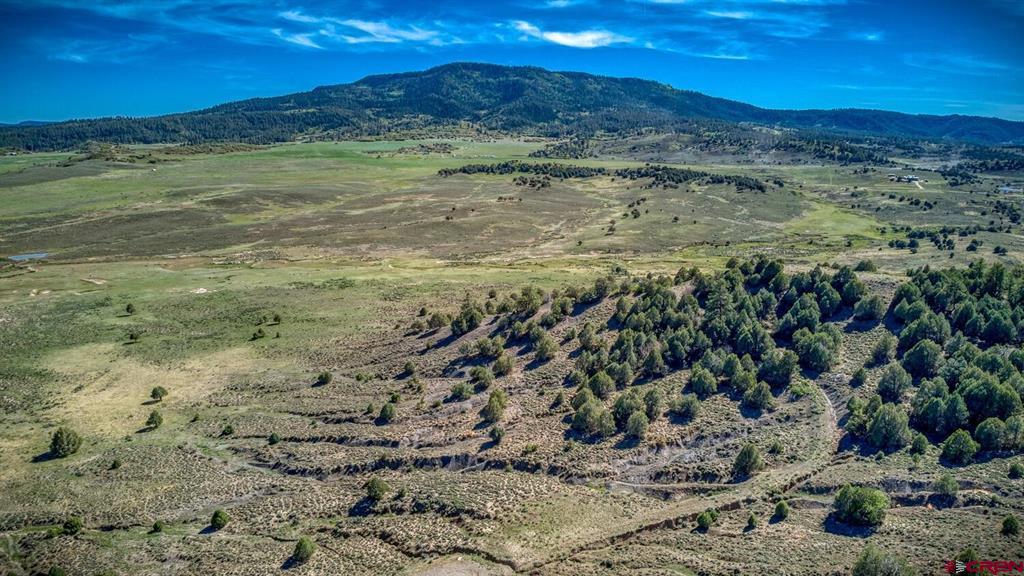 432 Golden Spruce Court Pagosa Springs CO 81147