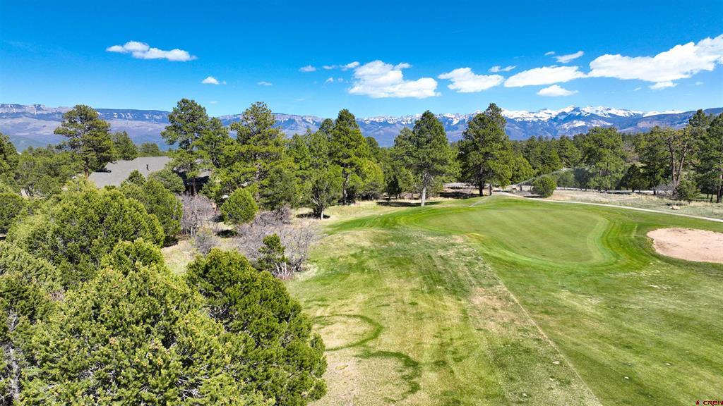 1627 Marmot Drive Ridgway CO 81432
