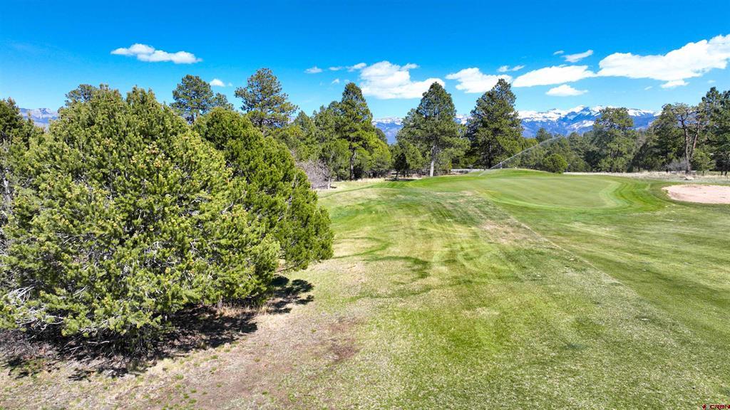 1627 Marmot Drive Ridgway CO 81432