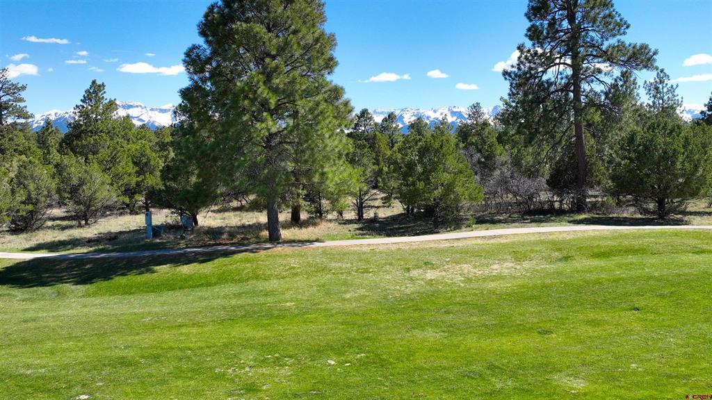 1627 Marmot Drive Ridgway CO 81432