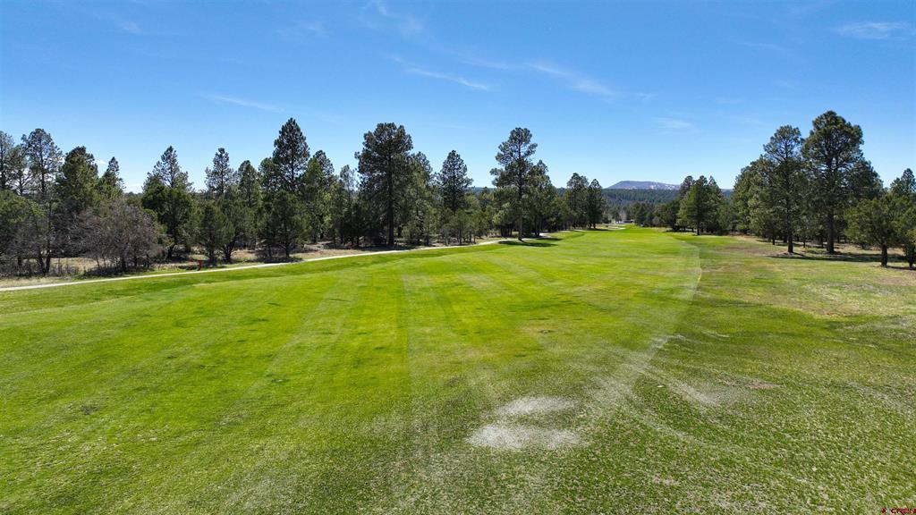 1627 Marmot Drive Ridgway CO 81432