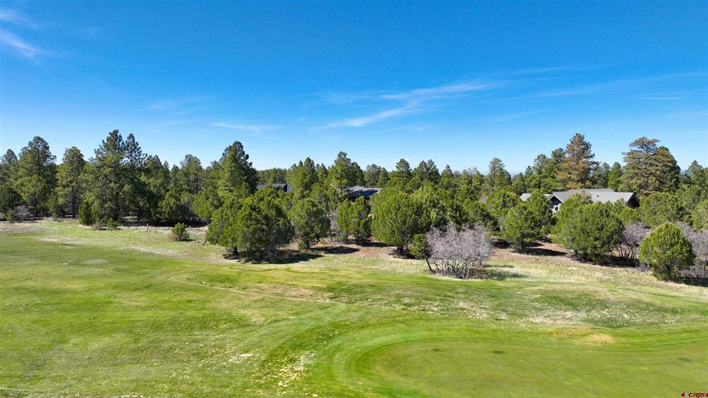 1627 Marmot Drive Ridgway CO 81432