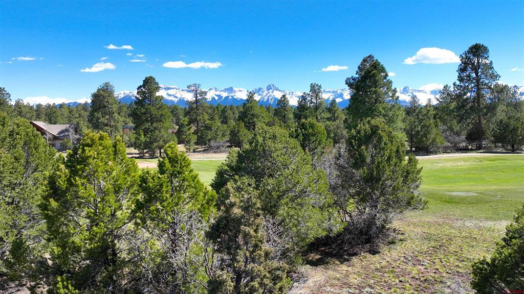 1627 Marmot Drive Ridgway CO 81432
