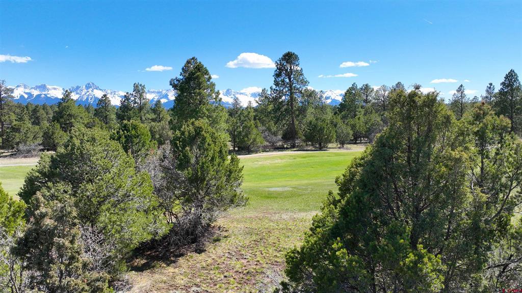 1627 Marmot Drive Ridgway CO 81432