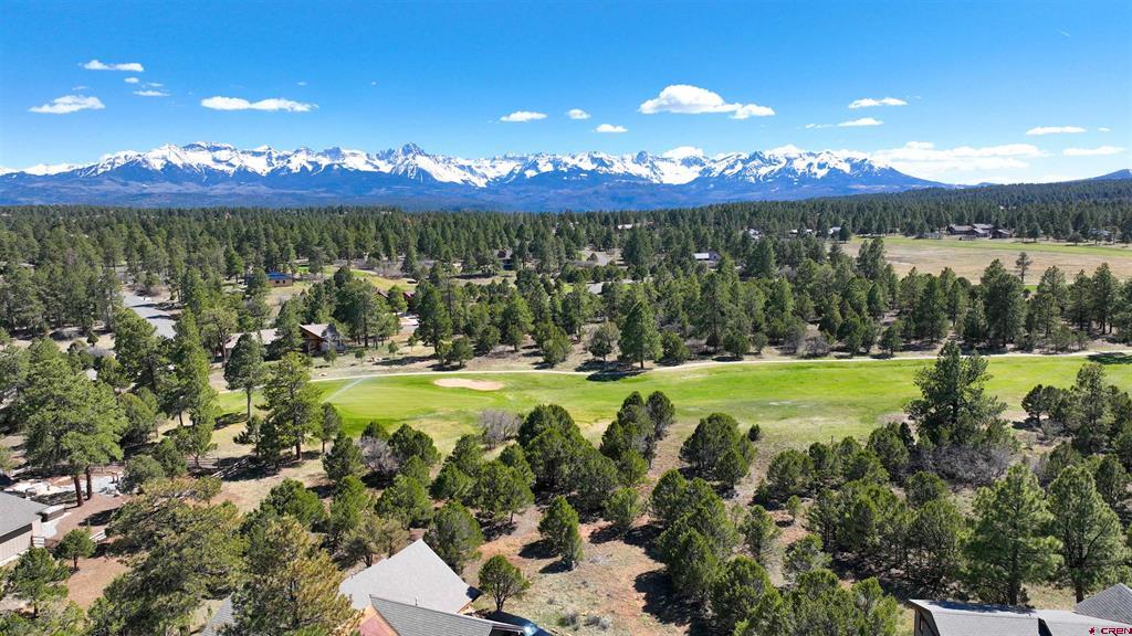 1627 Marmot Drive Ridgway CO 81432