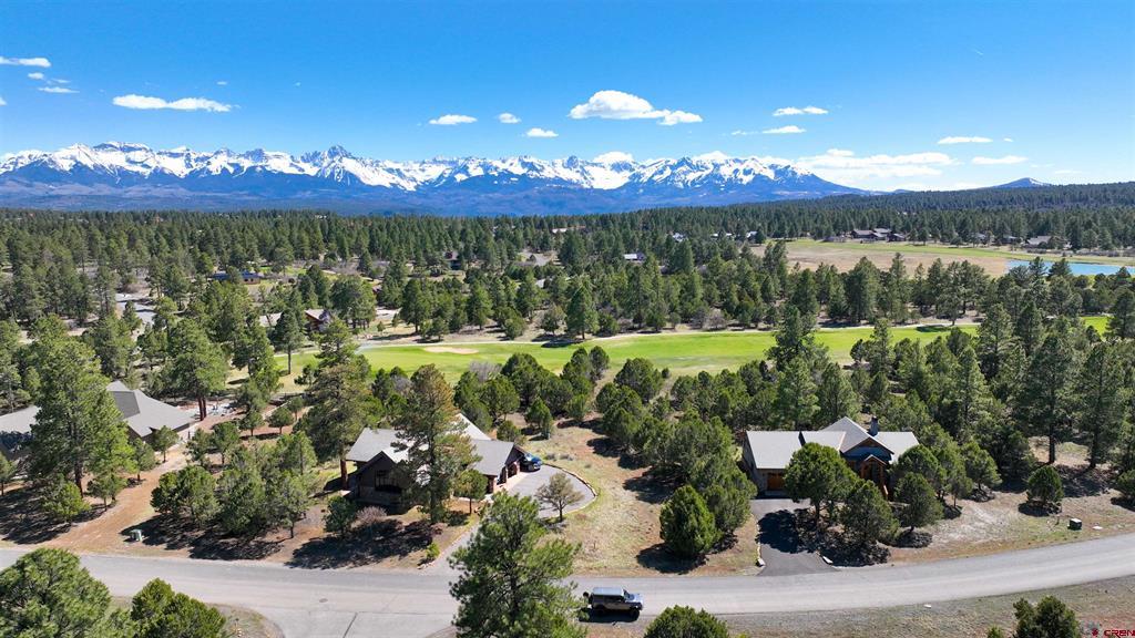 1627 Marmot Drive Ridgway CO 81432