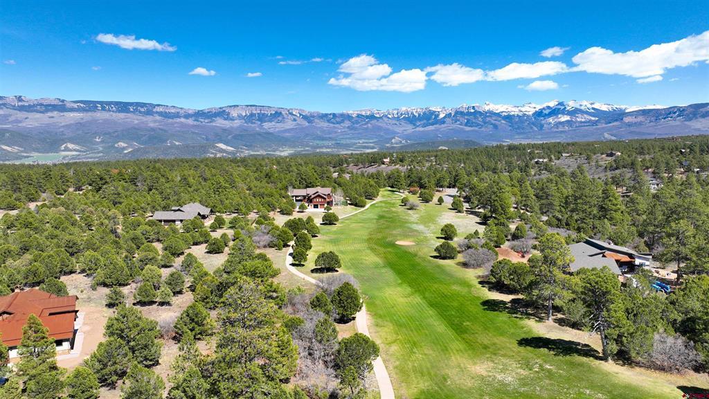 1627 Marmot Drive Ridgway CO 81432