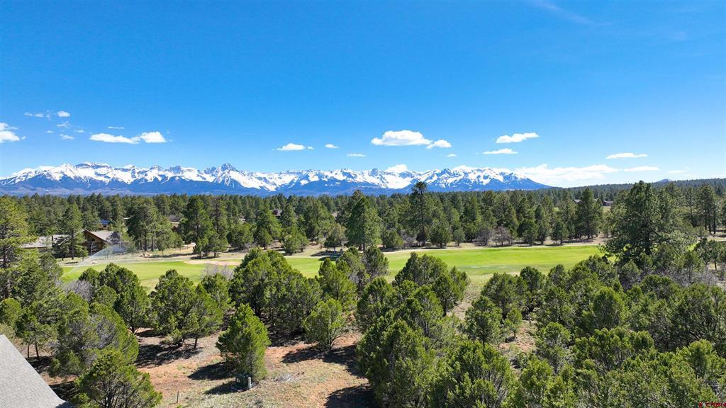 1627 Marmot Drive Ridgway CO 81432