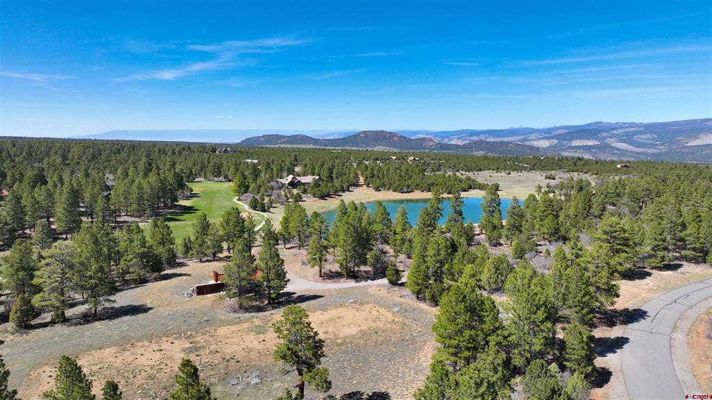 1627 Marmot Drive Ridgway CO 81432