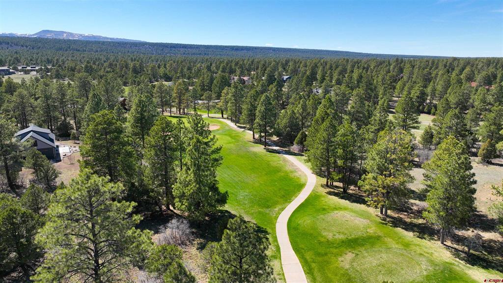 1627 Marmot Drive Ridgway CO 81432