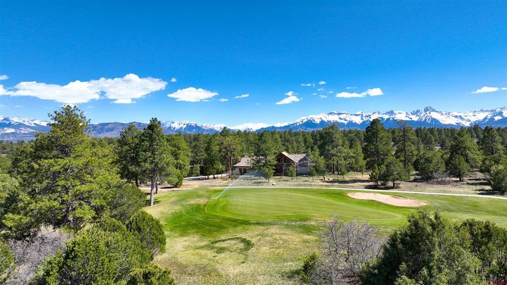 1627 Marmot Drive Ridgway CO 81432