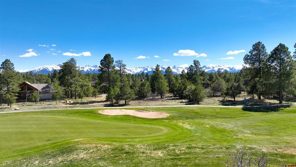 1627 Marmot Drive Ridgway CO 81432