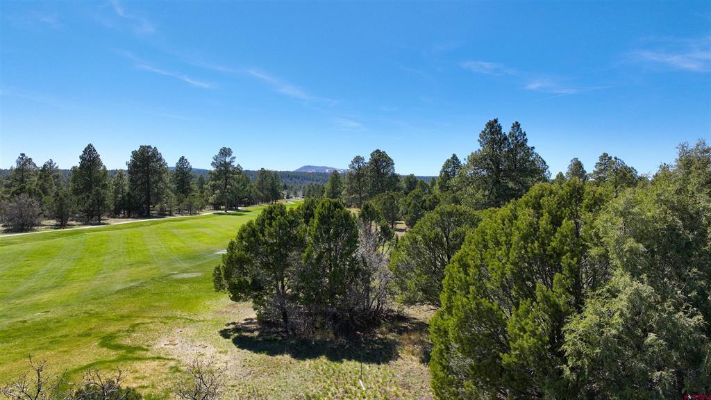 1627 Marmot Drive Ridgway CO 81432