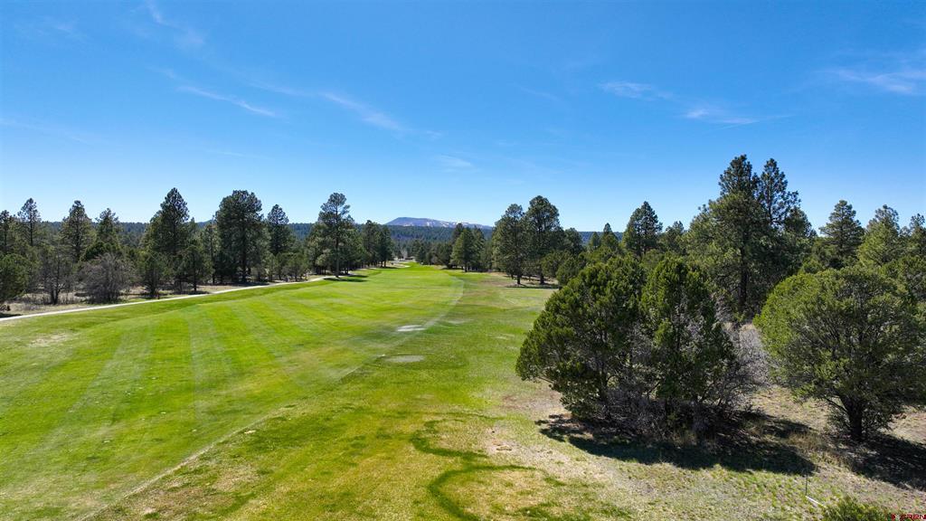 1627 Marmot Drive Ridgway CO 81432
