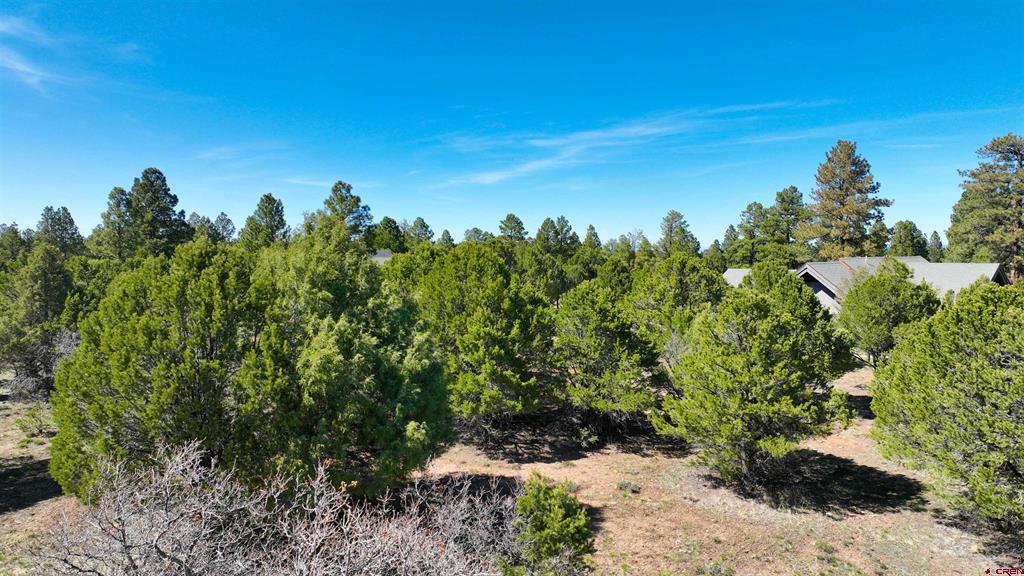 1627 Marmot Drive Ridgway CO 81432