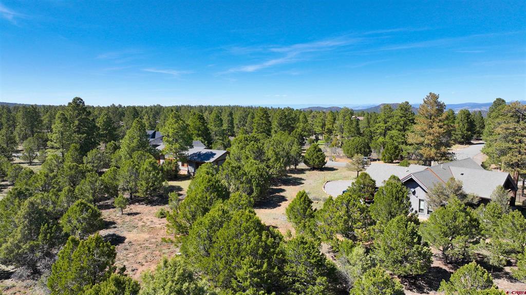 1627 Marmot Drive Ridgway CO 81432