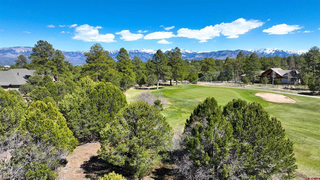 1627 Marmot Drive Ridgway CO 81432