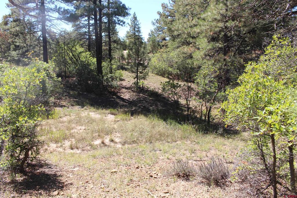 1222 Crooked Road Pagosa Springs CO 81147
