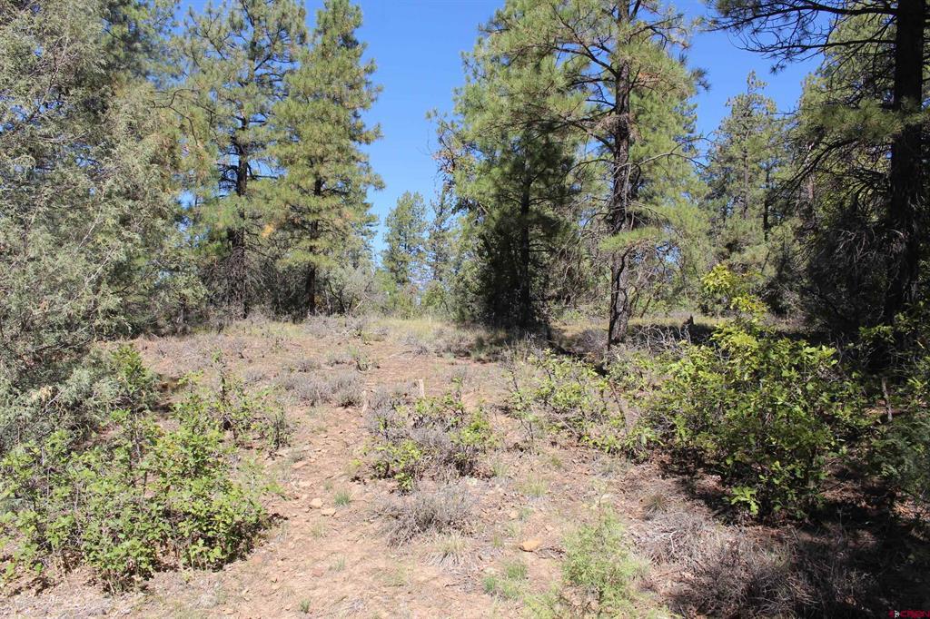 1222 Crooked Road Pagosa Springs CO 81147