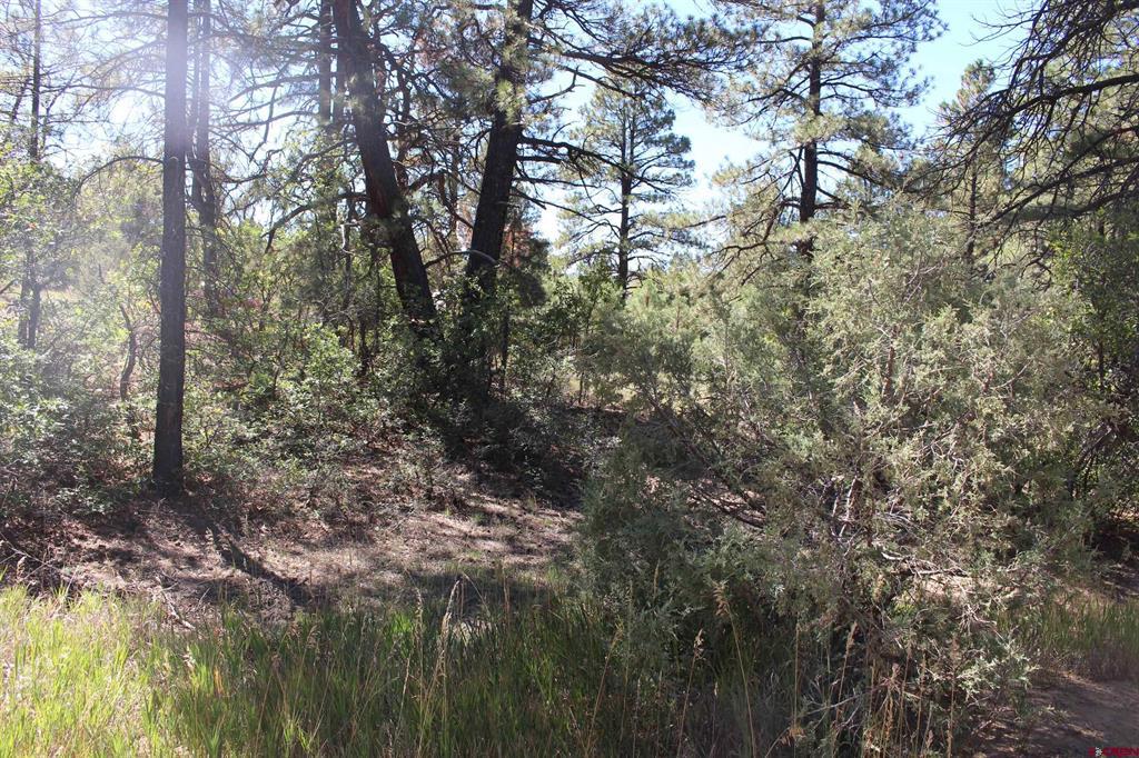 1222 Crooked Road Pagosa Springs CO 81147