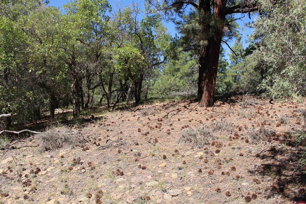 1222 Crooked Road Pagosa Springs CO 81147