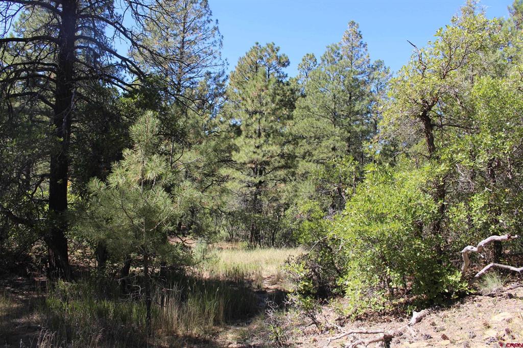 1222 Crooked Road Pagosa Springs CO 81147