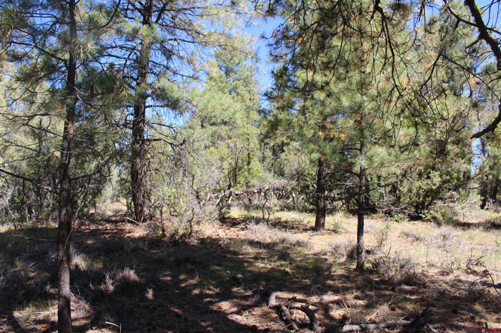 1222 Crooked Road Pagosa Springs CO 81147