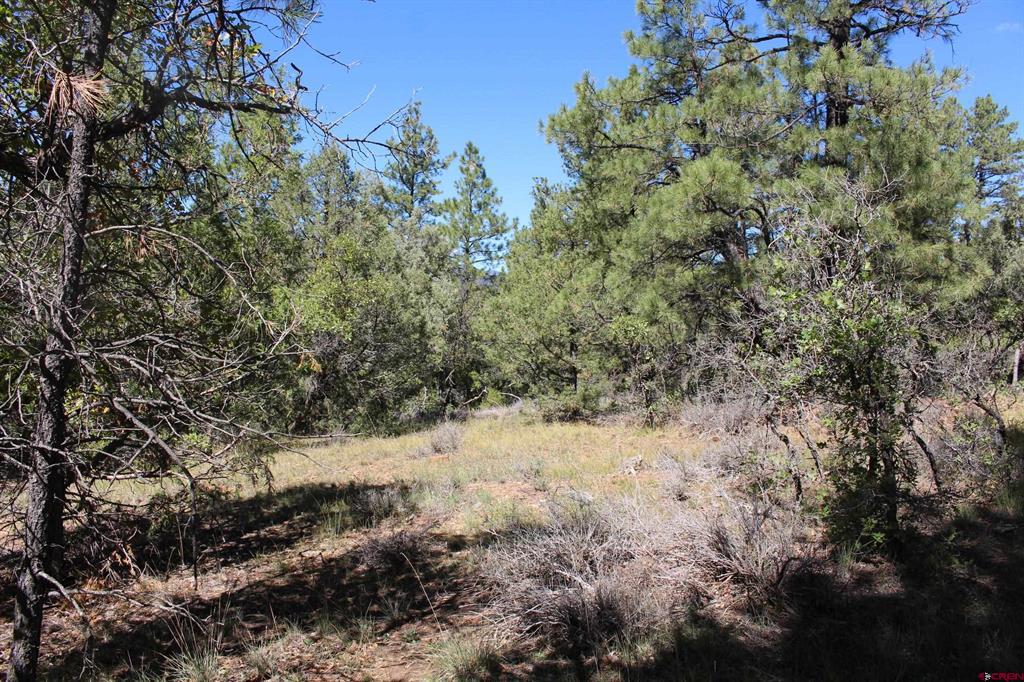 1222 Crooked Road Pagosa Springs CO 81147