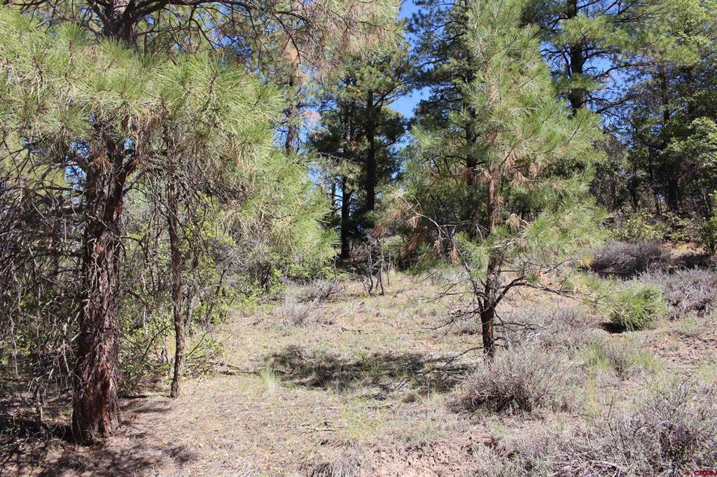 1222 Crooked Road Pagosa Springs CO 81147