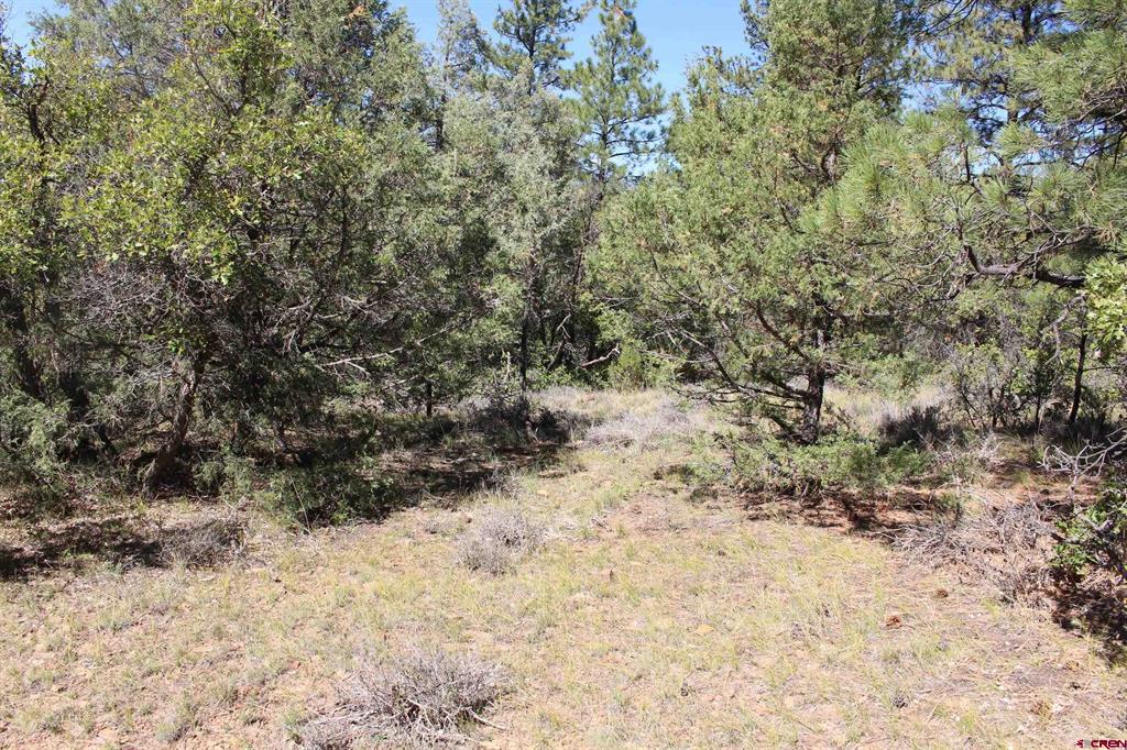 1222 Crooked Road Pagosa Springs CO 81147