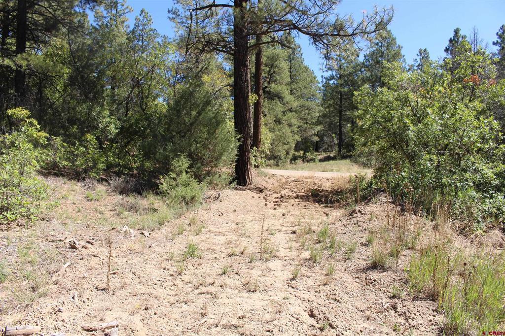 1222 Crooked Road Pagosa Springs CO 81147