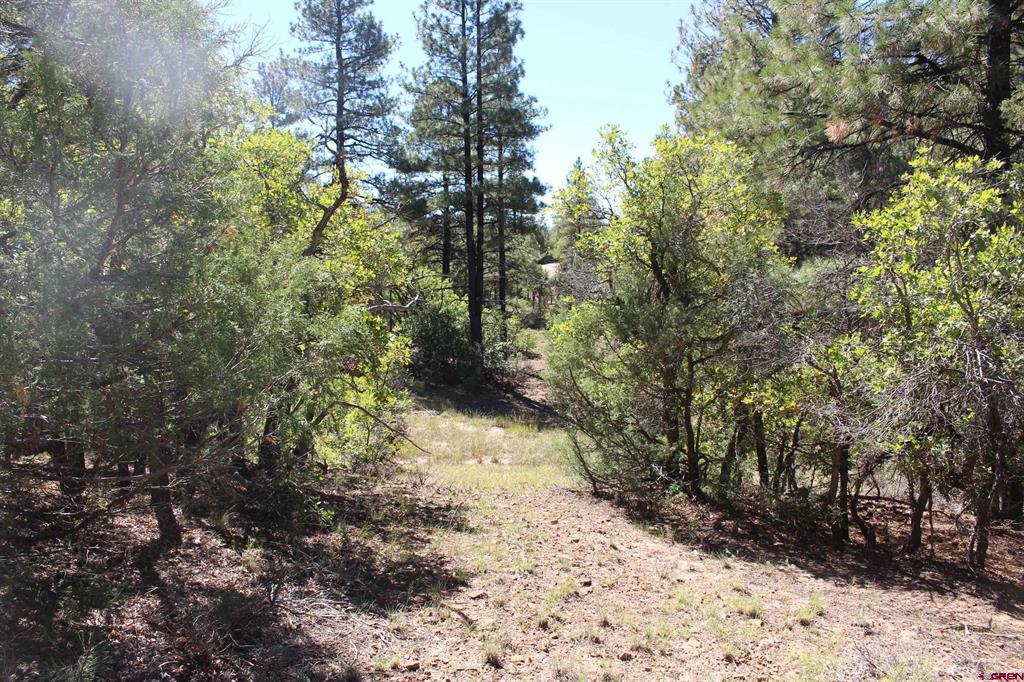 1222 Crooked Road Pagosa Springs CO 81147