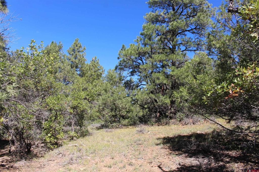 1222 Crooked Road Pagosa Springs CO 81147