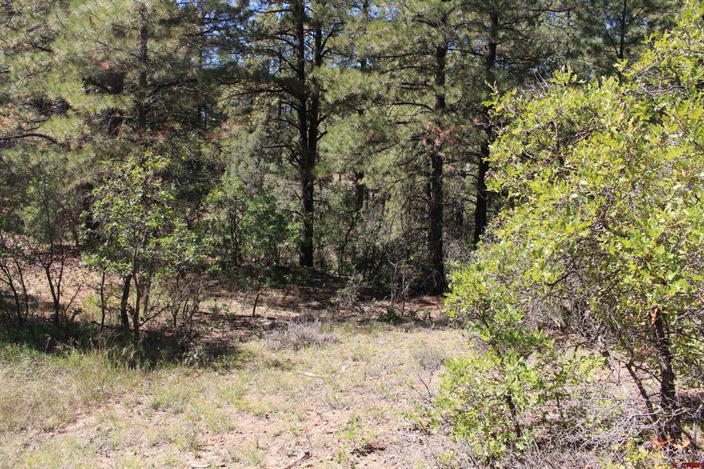 1222 Crooked Road Pagosa Springs CO 81147