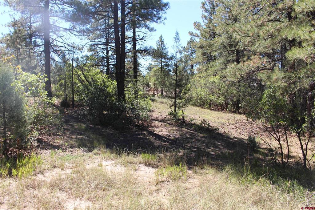 1222 Crooked Road Pagosa Springs CO 81147