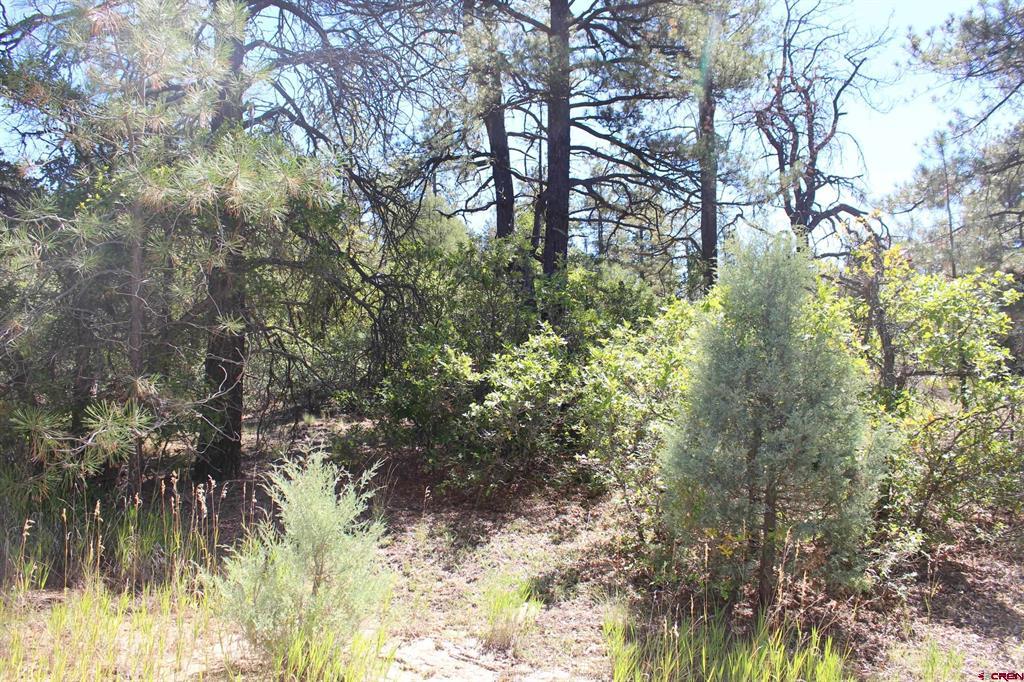 1222 Crooked Road Pagosa Springs CO 81147