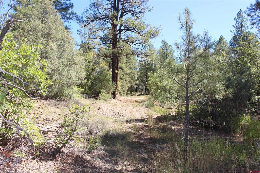 1222 Crooked Road Pagosa Springs CO 81147