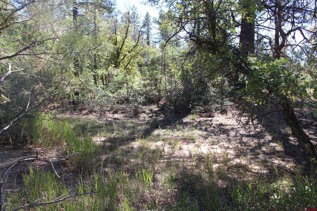 1222 Crooked Road Pagosa Springs CO 81147