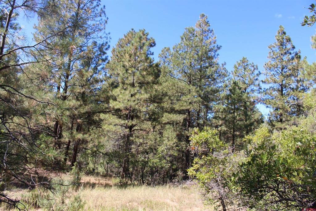 1222 Crooked Road Pagosa Springs CO 81147