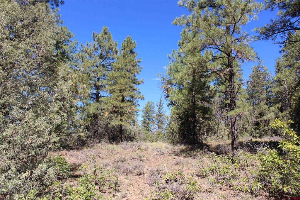 1222 Crooked Road Pagosa Springs CO 81147