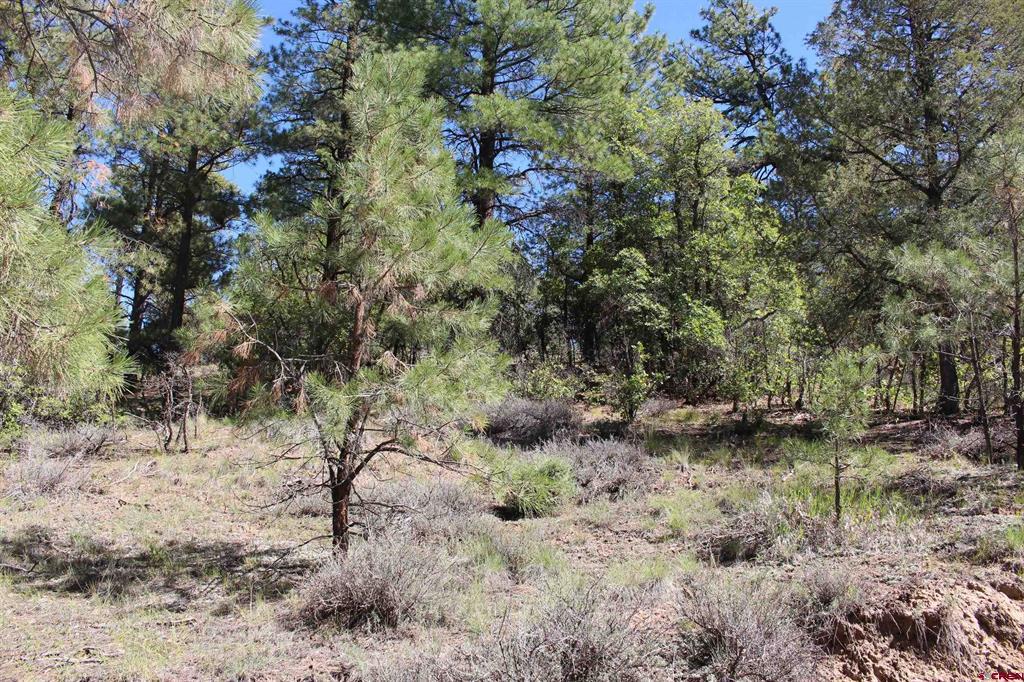1222 Crooked Road Pagosa Springs CO 81147
