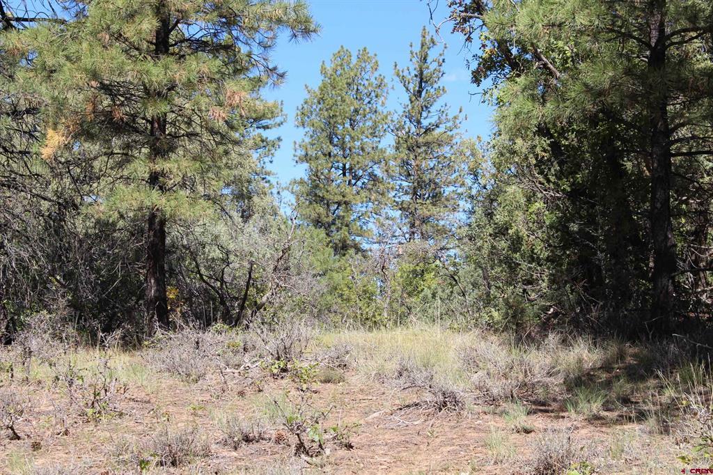 1222 Crooked Road Pagosa Springs CO 81147