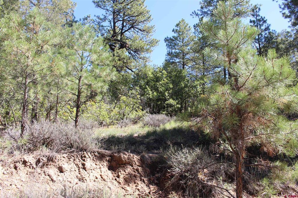 1222 Crooked Road Pagosa Springs CO 81147