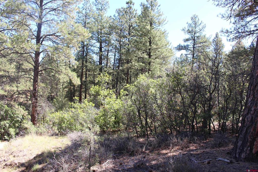 1222 Crooked Road Pagosa Springs CO 81147