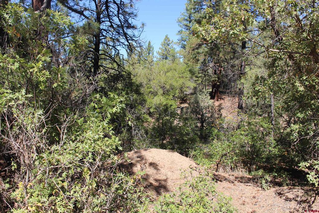 1222 Crooked Road Pagosa Springs CO 81147