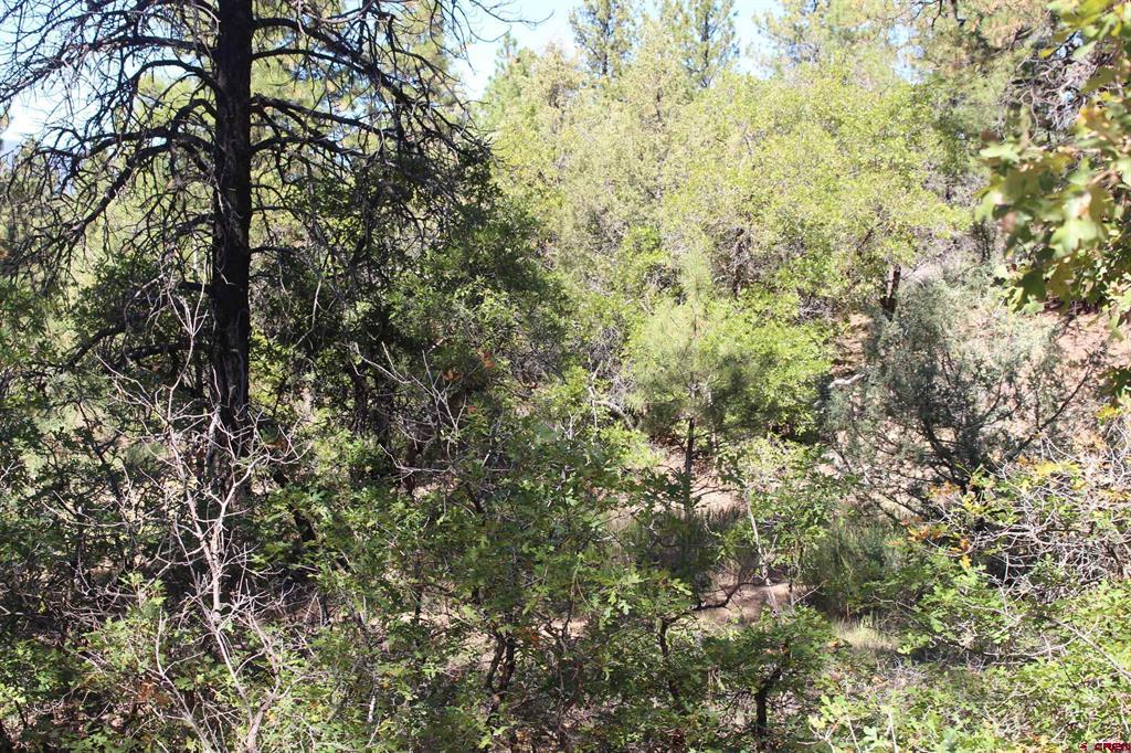 1222 Crooked Road Pagosa Springs CO 81147