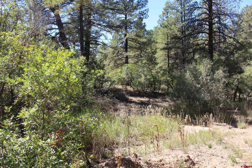 1222 Crooked Road Pagosa Springs CO 81147