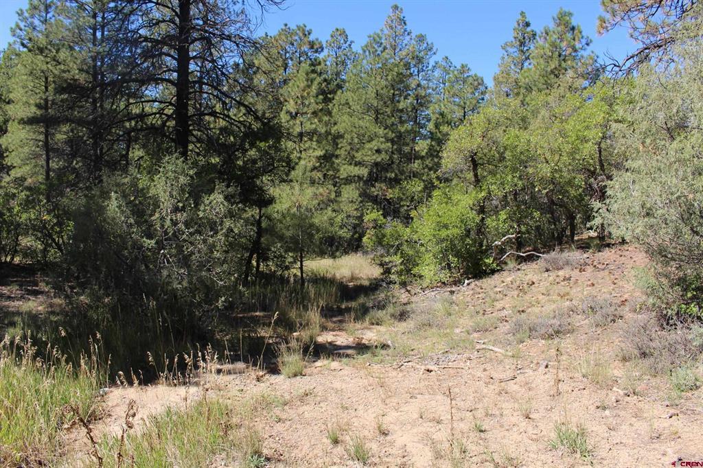 1222 Crooked Road Pagosa Springs CO 81147