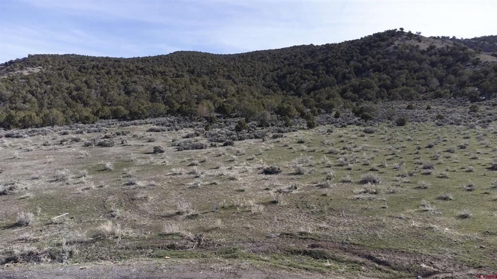 Tbd Lot 23 7250 Road Montrose CO 81403